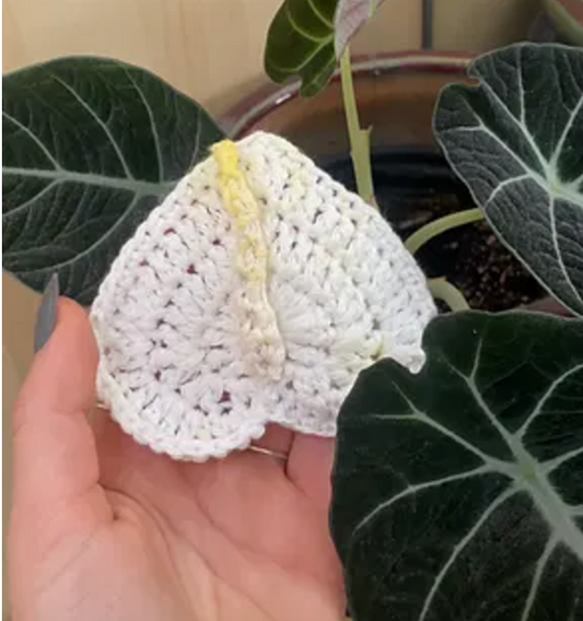 Anthurium Crochet Applique / Coaster