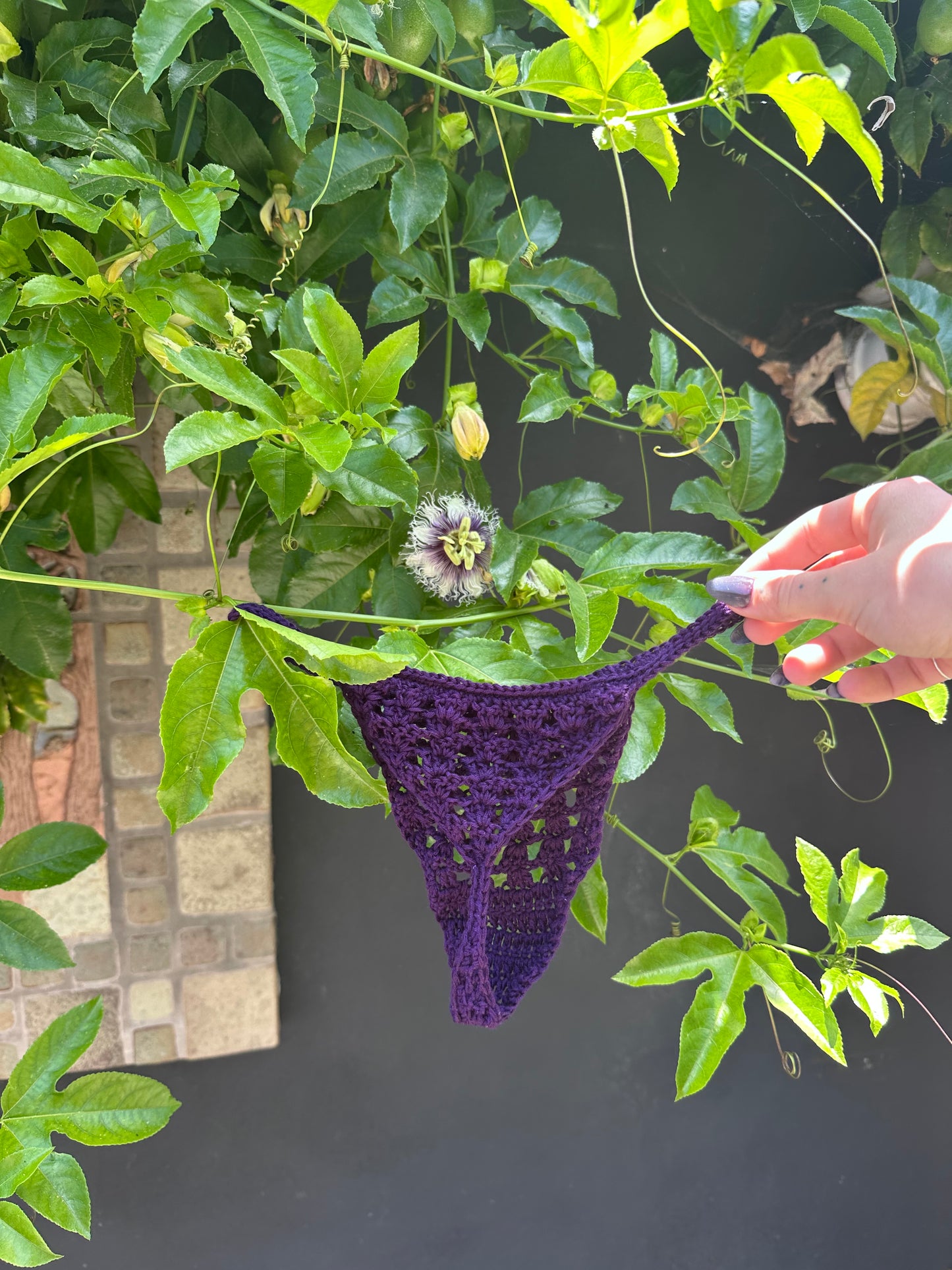 Wisteria Lace Crochet Thong Bottom